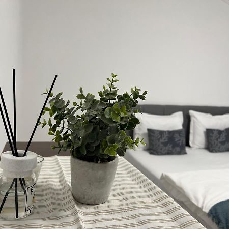 The N Apartment Cluj-Napoca Extérieur photo