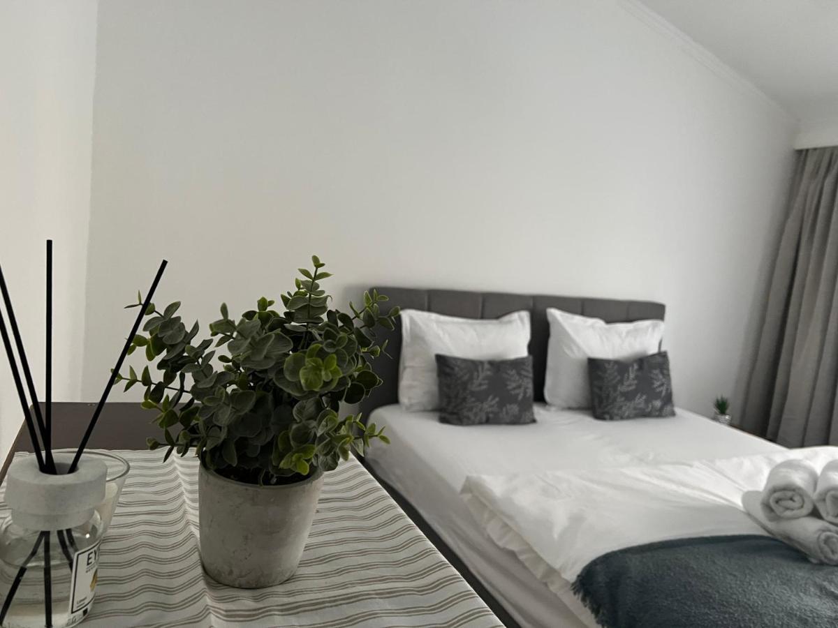 The N Apartment Cluj-Napoca Extérieur photo